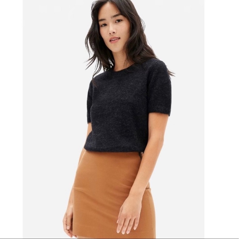 Everlane Alpaca Tee in Charcoal Grey